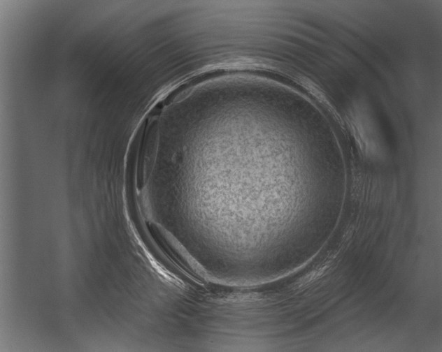 X0000054460845200508011459