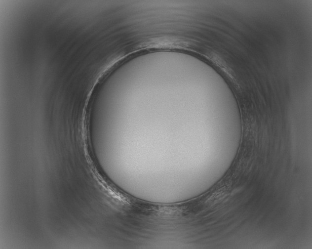 X0000054460848200508011459