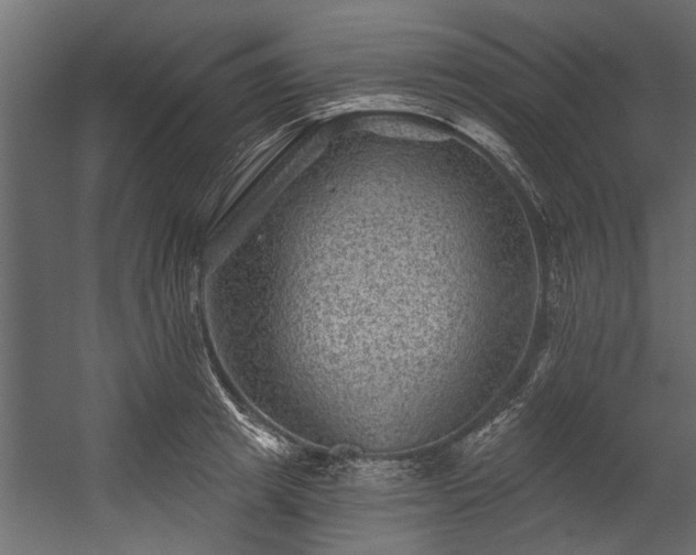 X0000054460849200508011459