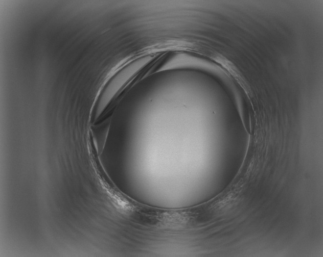 X0000054460850200508011459