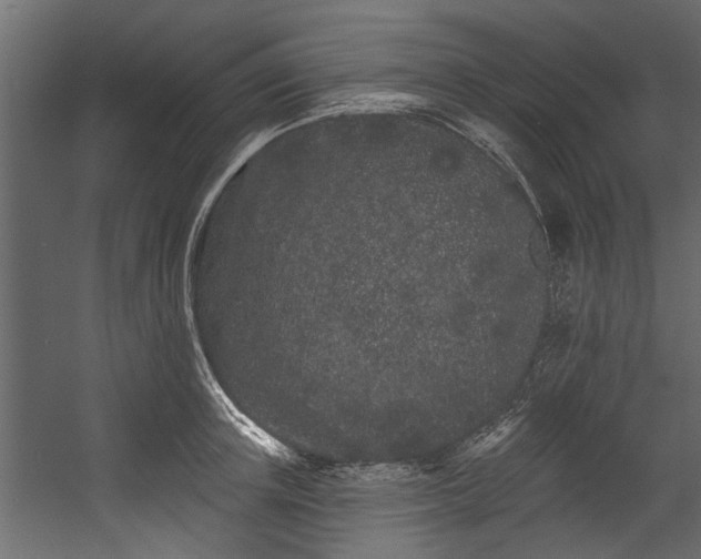 X0000054460851200508011459