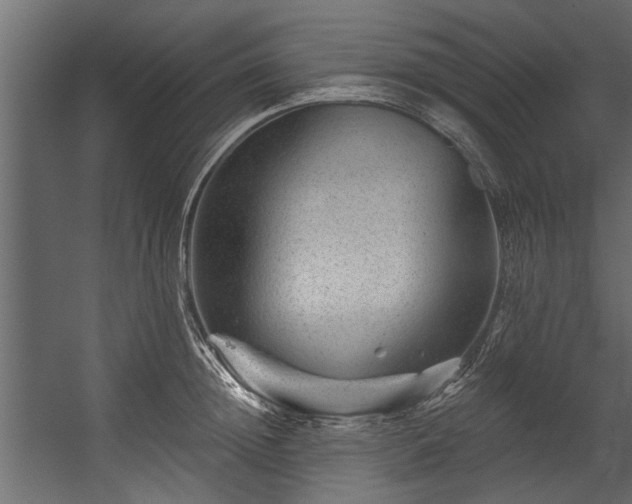 X0000054460852200508011459