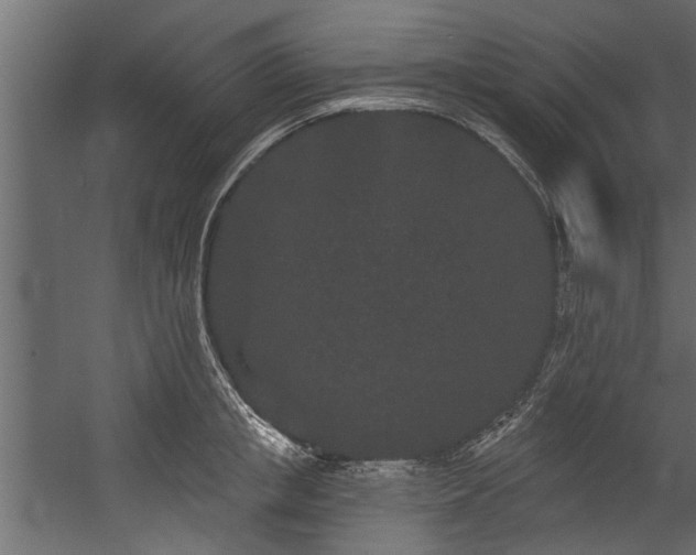 X0000054460853200508011459