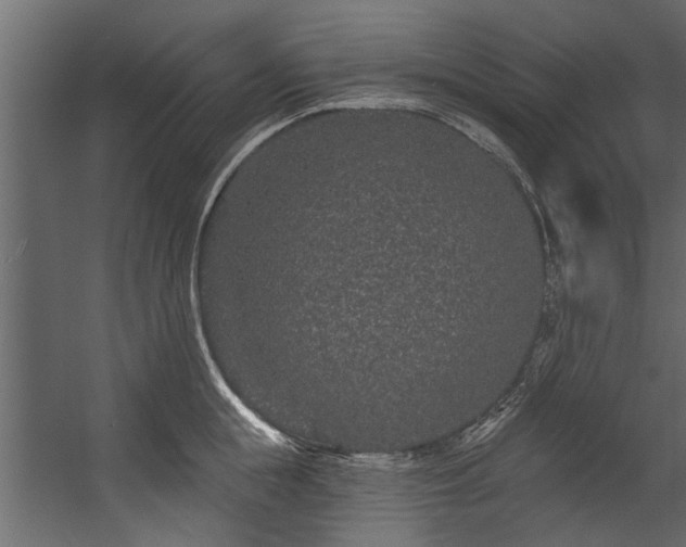 X0000054460855200508011459