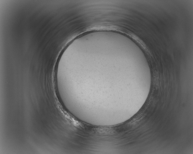 X0000054460856200508011500