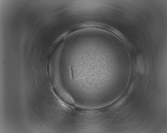 X0000054460857200508011500