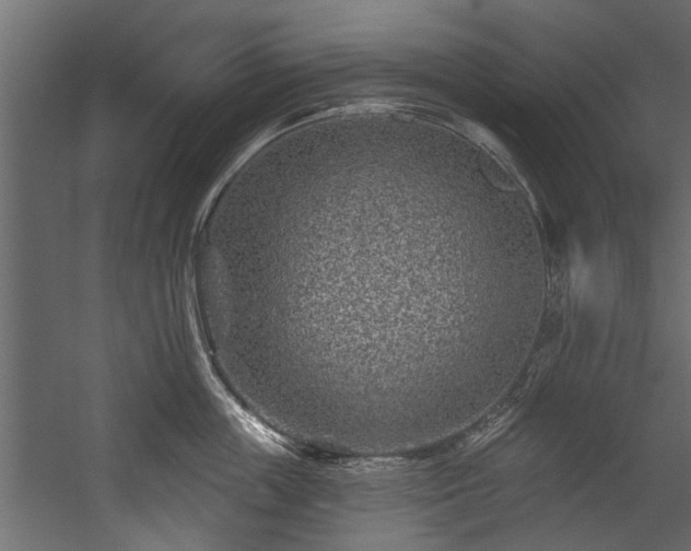 X0000054460859200508011500