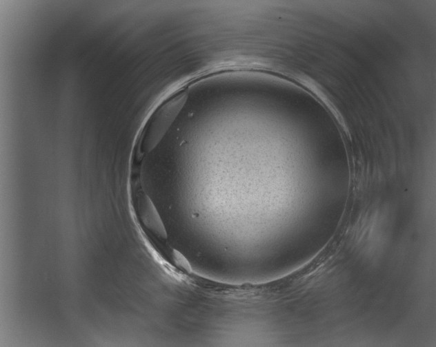 X0000054460861200508011500