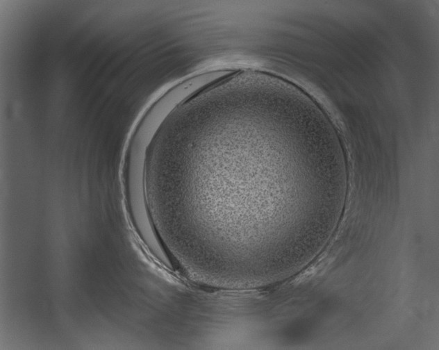 X0000054460864200508011500