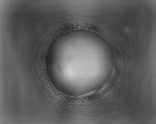 X0000054460865200508011459