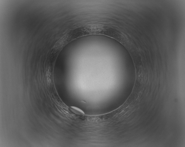 X0000054460866200508011459