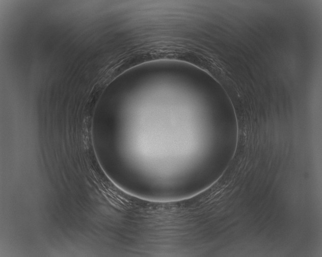 X0000054460868200508011459