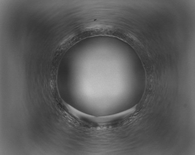 X0000054460869200508011459