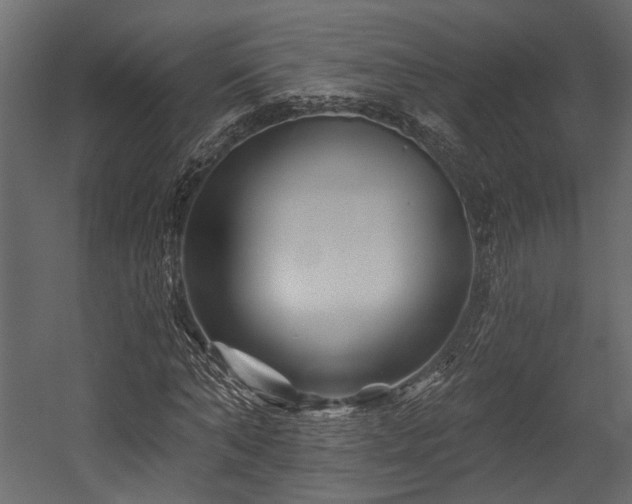 X0000054460870200508011459