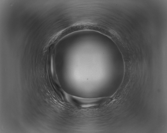 X0000054460872200508011459