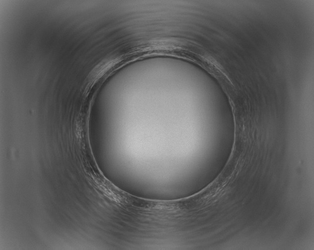 X0000054460874200508011459