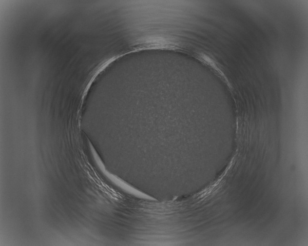 X0000054460875200508011459