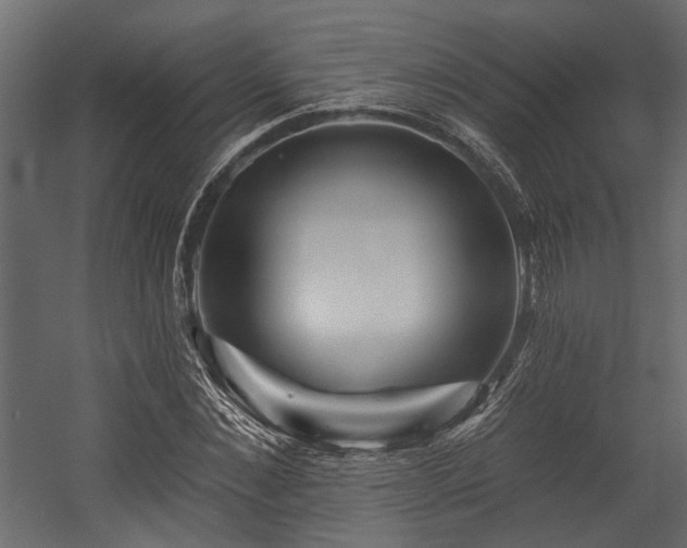 X0000054460876200508011459