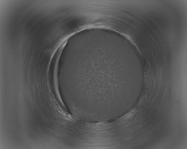 X0000054460879200508011459