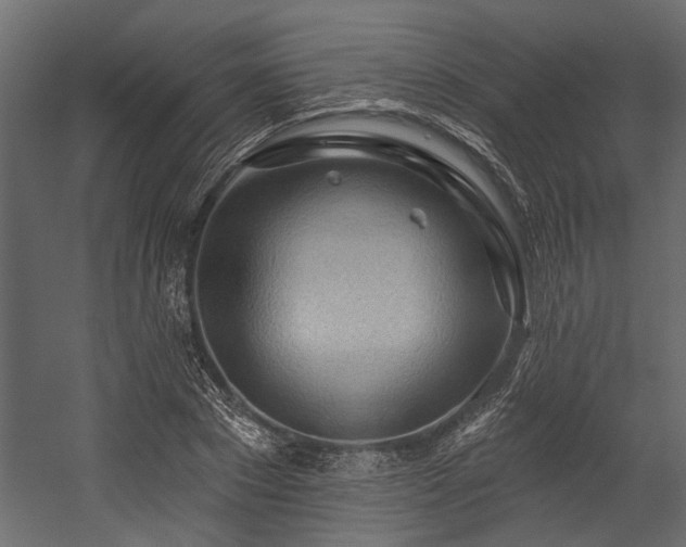 X0000054460881200508011459