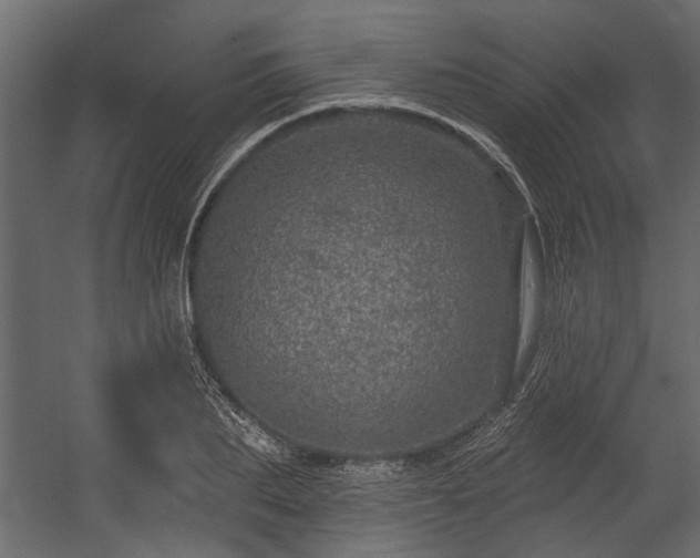 X0000054460887200508011458