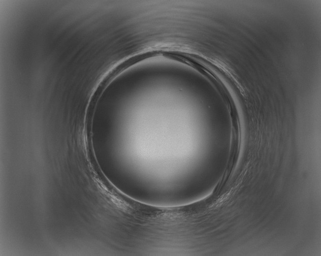 X0000054460888200508011458