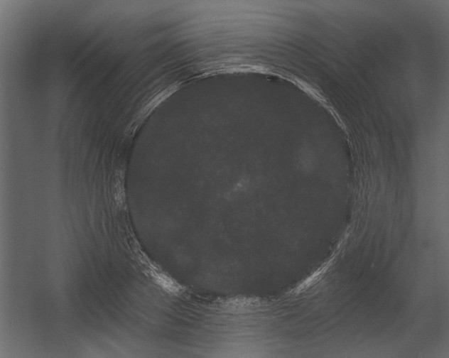 X0000054460889200508011458