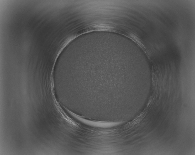 X0000054460891200508011458