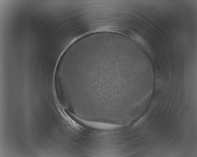 X0000054460892200508011458