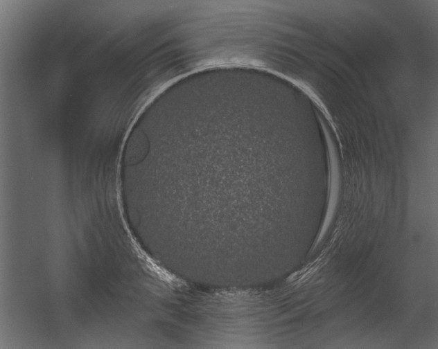 X0000054460895200508011458