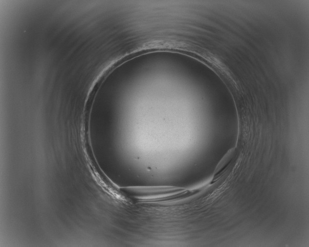 X0000054460896200508011458