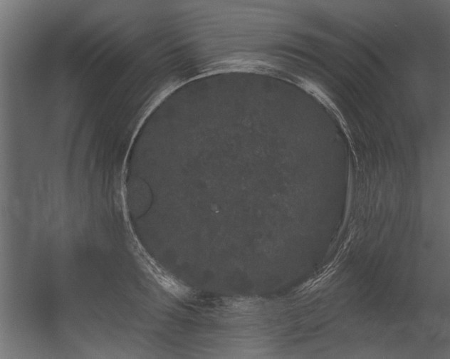 X0000054460899200508011458