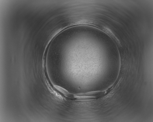 X0000054460900200508011458