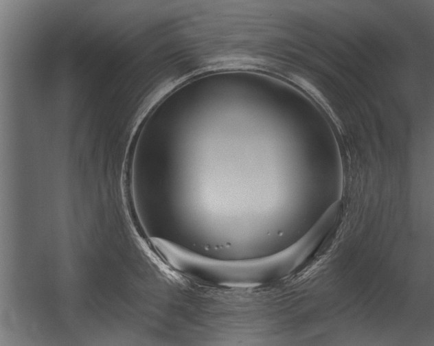 X0000054460901200508011458