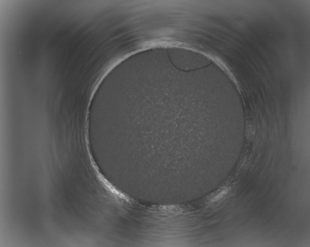 X0000054460903200508011458