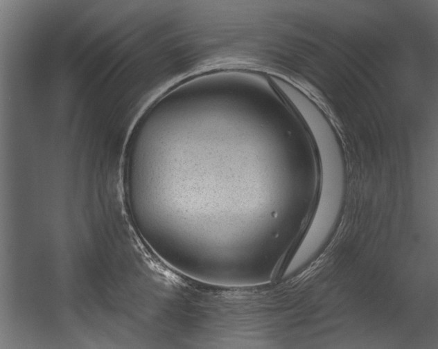 X0000054460904200508011458