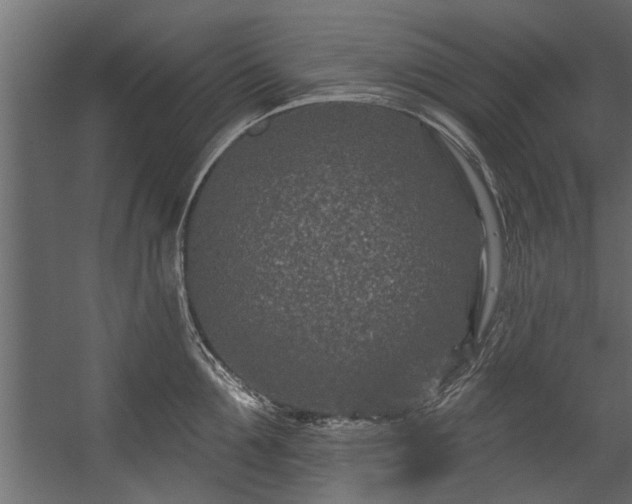 X0000054460907200508011458