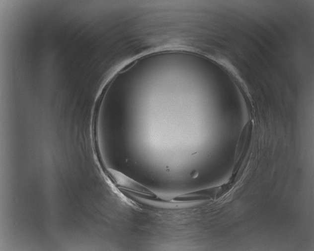 X0000054460910200508011458