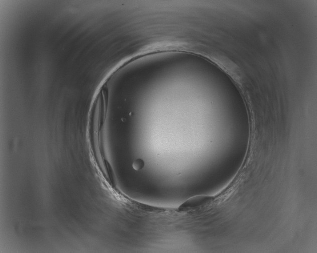 X0000054460912200508011458