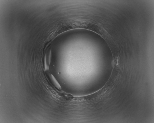 X0000054460915200508011457