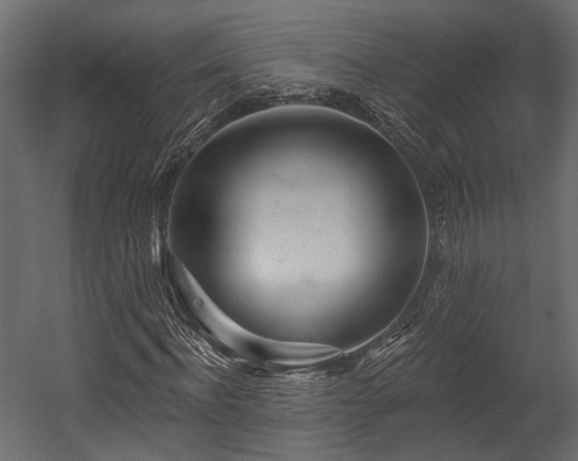 X0000054460916200508011457