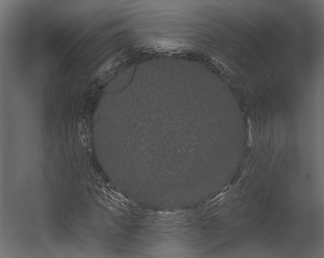 X0000054460917200508011457