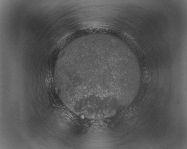 X0000054460918200508011457