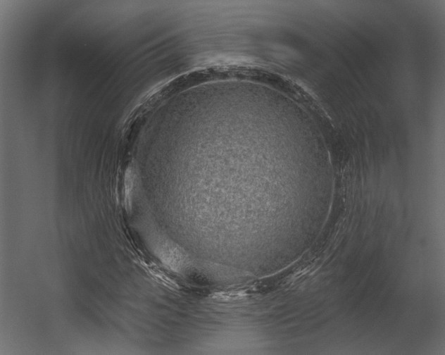 X0000054460919200508011457