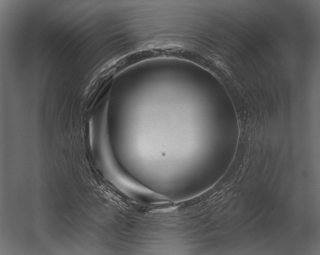 X0000054460920200508011457