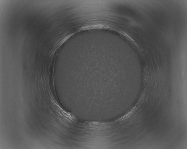 X0000054460921200508011457