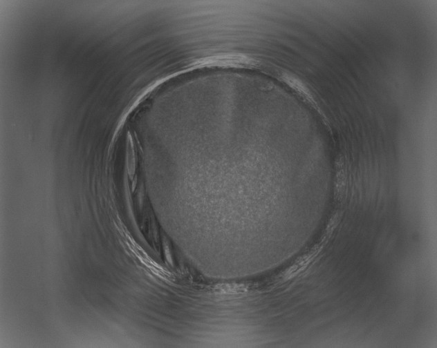 X0000054460923200508011457