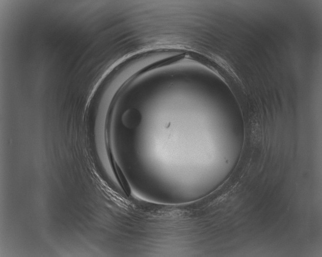 X0000054460926200508011457