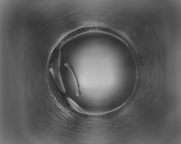 X0000054460927200508011457