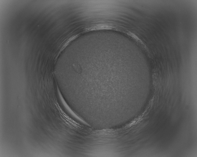 X0000054460929200508011457